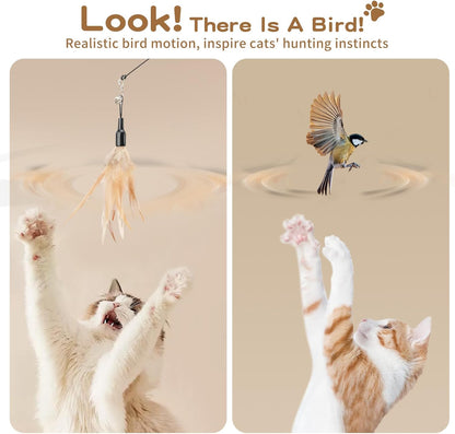 Feather Teaser Cat Toy - Interactive Wand with Extra Long 34.5" Wand and Small Bell, Fun Exerciser Playing Toy for Kittens or Cats, Brown Feather